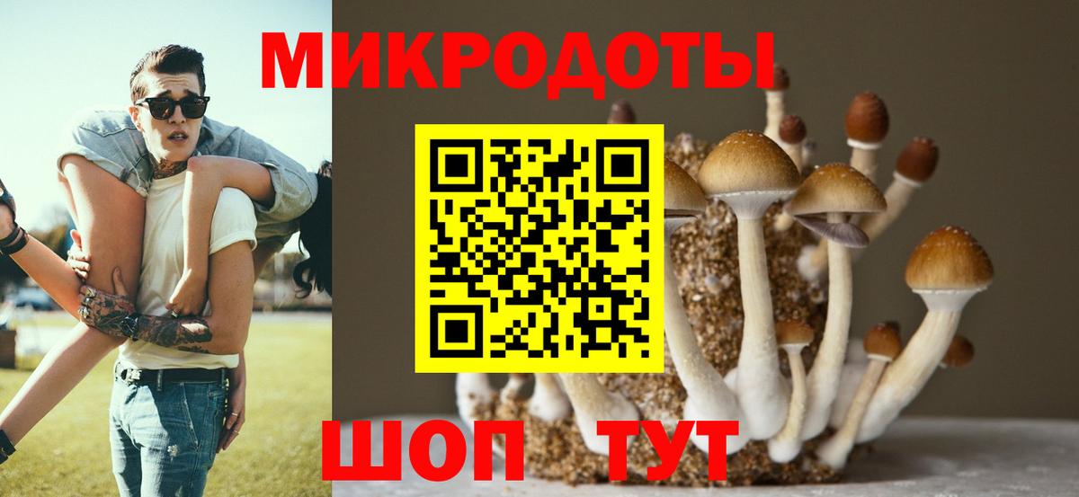 Борзя  Псилоцибиновые грибы MAGIC MUSHROOMS  Вход с VPN 